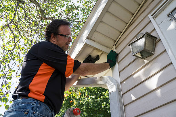Best Hoarding Cleanup  in New Bedford, MA